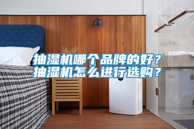 抽濕機哪個品牌的好？抽濕機怎麽進行選購？