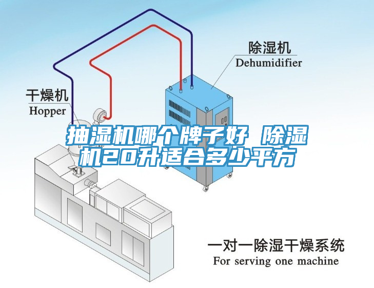 抽濕機哪個牌子好 黄瓜视频在线播放20升適合多少平方