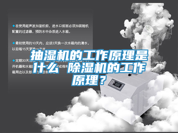 抽濕機的工作原理是什麽 黄瓜视频在线播放的工作原理？