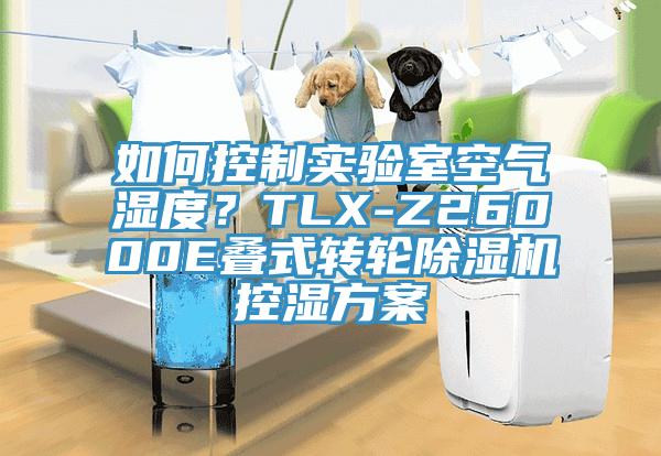 如何控製實驗室空氣濕度？TLX-Z26000E疊式轉輪黄瓜视频在线播放控濕方案