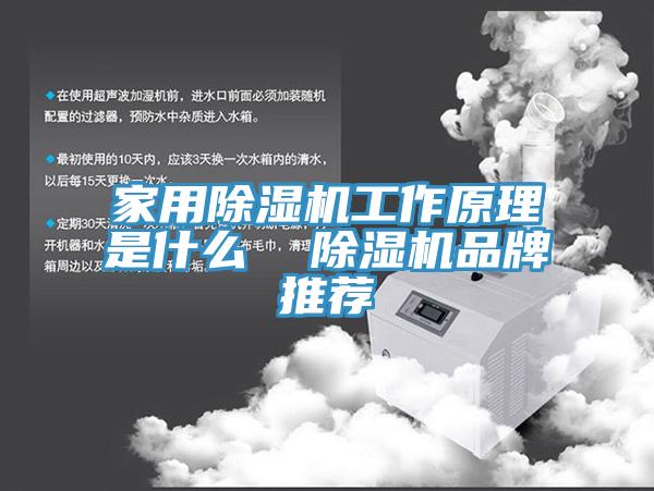 家用黄瓜视频在线播放工作原理是什麽  黄瓜视频在线播放品牌推薦