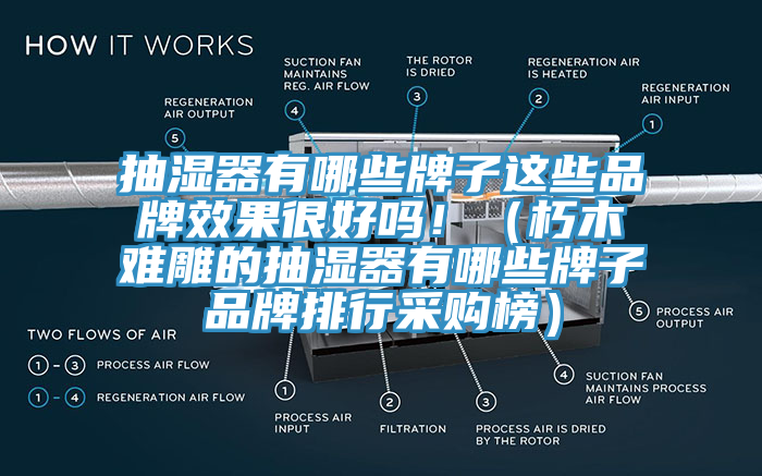 抽濕器有哪些牌子這些品牌效果很好嗎！（朽木難雕的抽濕器有哪些牌子品牌排行采購榜）