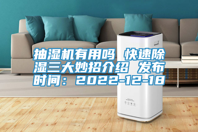 抽濕機有用嗎 快速除濕三大妙招介紹 發布時間：2022-12-18