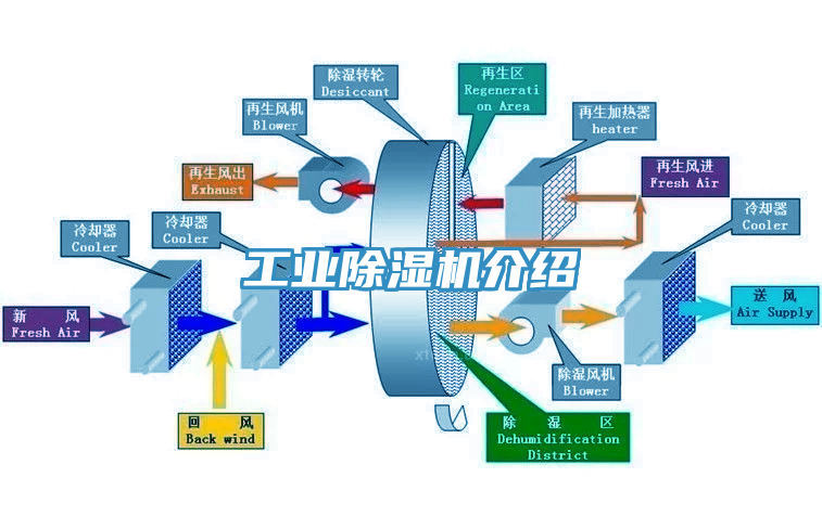 工業黄瓜视频在线播放介紹