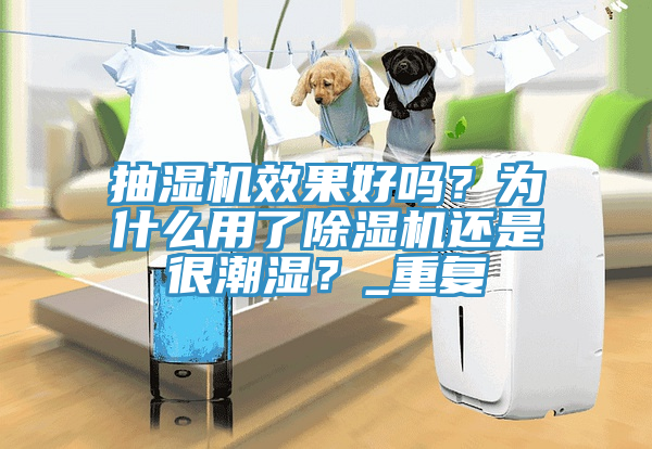 抽濕機效果好嗎？為什麽用了黄瓜视频在线播放還是很潮濕？_重複