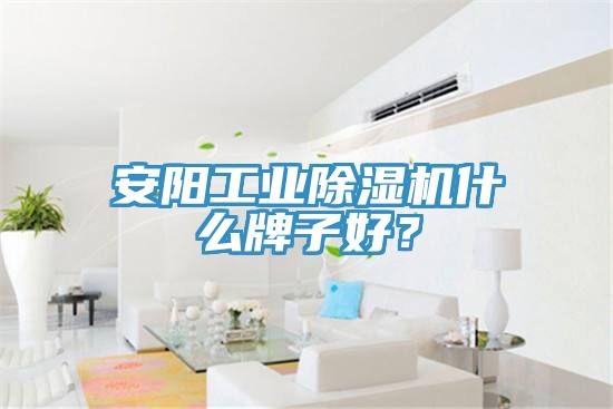 安陽工業黄瓜视频在线播放什麽牌子好？