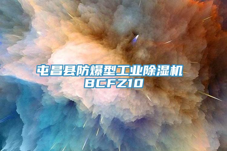 屯昌縣防爆型工業黄瓜视频在线播放 BCFZ10