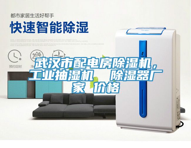 武漢市配電房黄瓜视频在线播放，工業抽濕機  除濕器廠家 價格