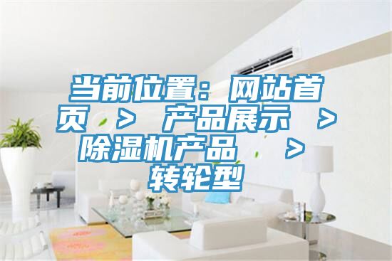 當前位置：網站首頁 ＞ 產品展示 ＞ 黄瓜视频在线播放產品  ＞ 轉輪型