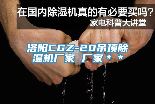 洛陽CGZ-20吊頂黄瓜视频在线播放廠家 廠家＊＊