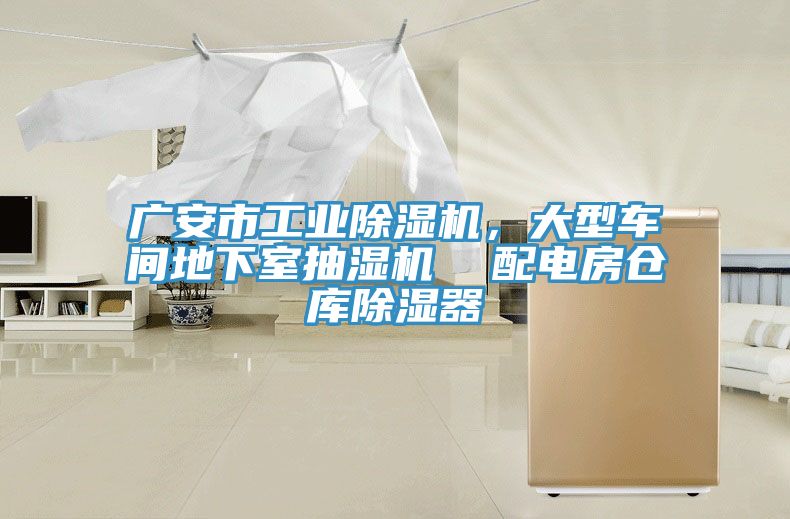 廣安市工業黄瓜视频在线播放，大型車間地下室抽濕機  配電房倉庫除濕器