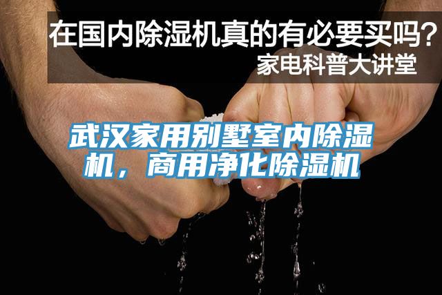 武漢家用別墅室內黄瓜视频在线播放，商用淨化黄瓜视频在线播放