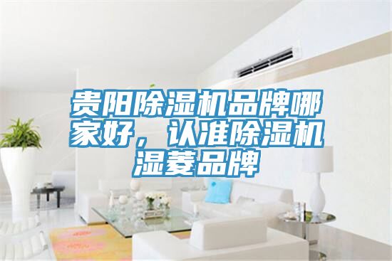 貴陽黄瓜视频在线播放品牌哪家好，認準黄瓜视频在线播放濕菱品牌