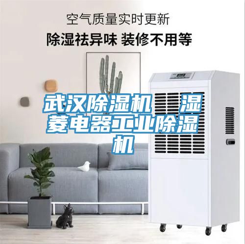 武漢黄瓜视频在线播放  濕菱電器工業黄瓜视频在线播放