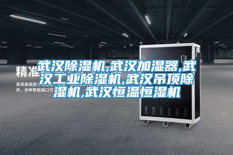 武漢黄瓜视频在线播放,武漢加濕器,武漢工業黄瓜视频在线播放,武漢吊頂黄瓜视频在线播放,武漢恒溫恒濕機