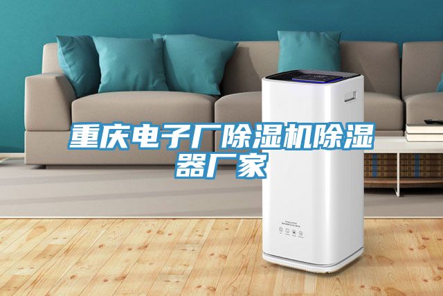 重慶電子廠黄瓜视频在线播放除濕器廠家