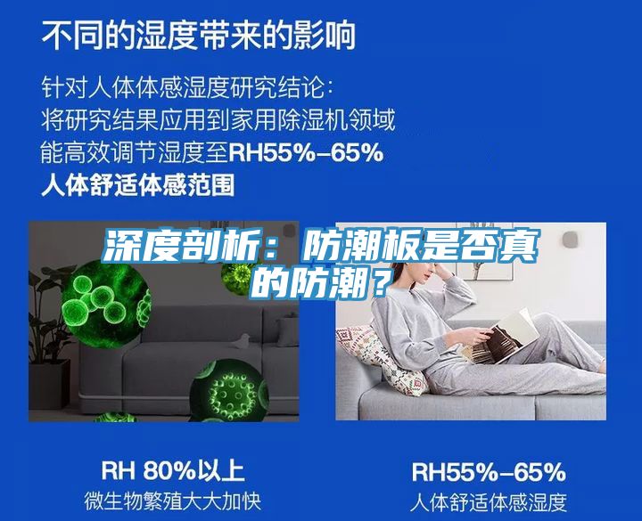 深度剖析：防潮板是否真的防潮？