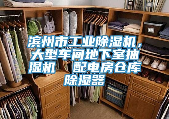 濱州市工業黄瓜视频在线播放，大型車間地下室抽濕機  配電房倉庫除濕器