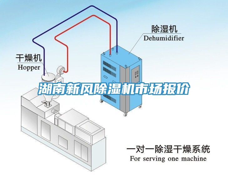 湖南新風黄瓜视频在线播放市場報價