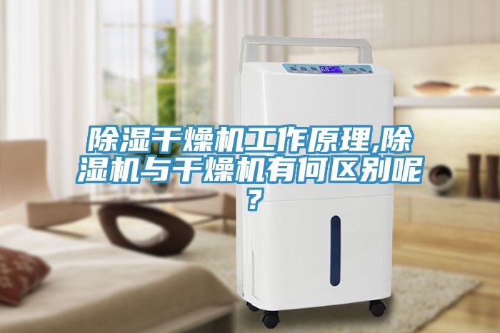 除濕幹燥機工作原理,黄瓜视频在线播放與幹燥機有何區別呢？