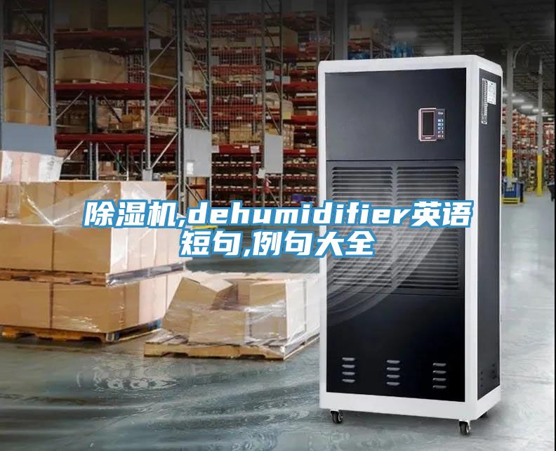 黄瓜视频在线播放,dehumidifier英語短句,例句大全