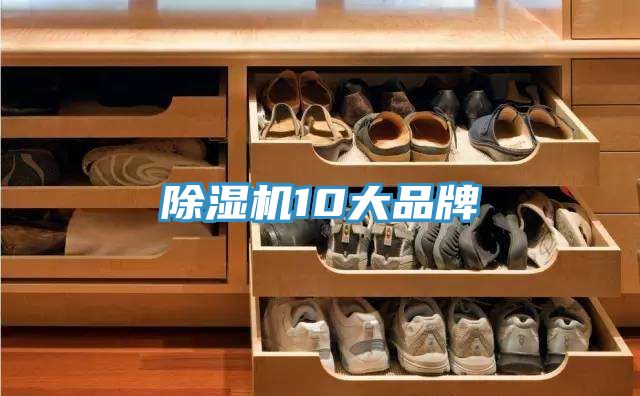 黄瓜视频在线播放10大品牌