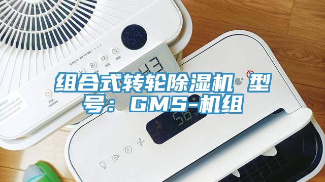 組合式轉輪黄瓜视频在线播放 型號：GMS-機組