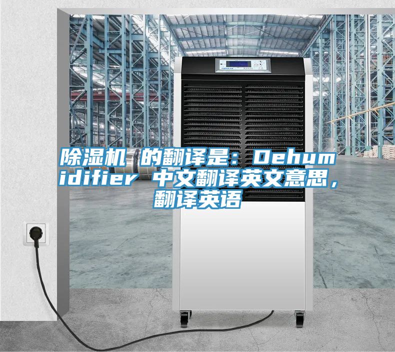 黄瓜视频在线播放 的翻譯是：Dehumidifier 中文翻譯英文意思，翻譯英語