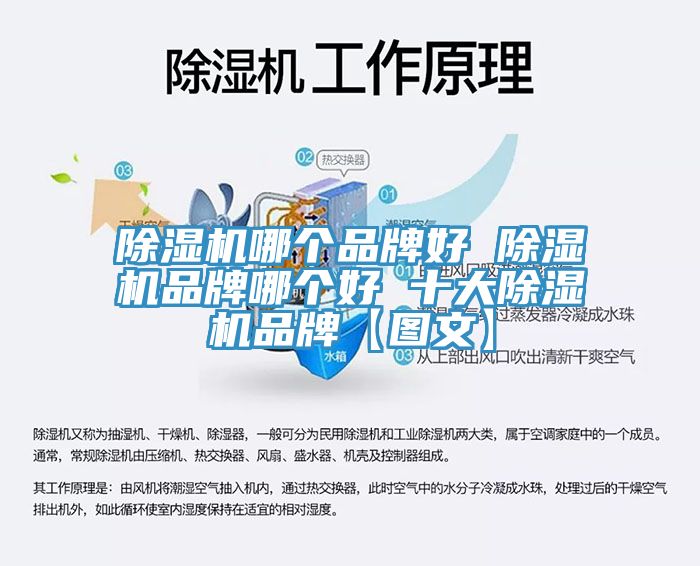 黄瓜视频在线播放哪個品牌好 黄瓜视频在线播放品牌哪個好 十大黄瓜视频在线播放品牌【圖文】