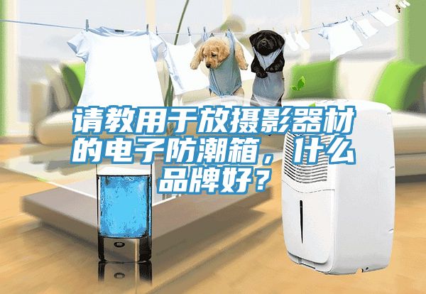 請教用於放攝影器材的電子防潮箱，什麽品牌好？