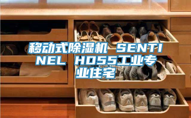 移動式黄瓜视频在线播放 SENTINEL HD55工業專業住宅