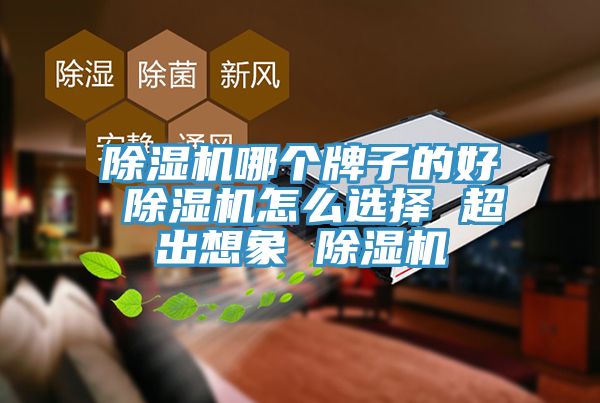 黄瓜视频在线播放哪個牌子的好 黄瓜视频在线播放怎麽選擇 超出想象 黄瓜视频在线播放