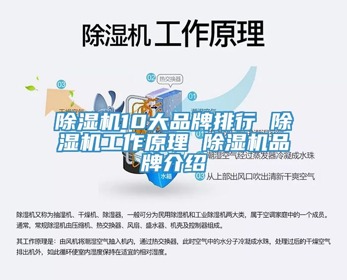 黄瓜视频在线播放10大品牌排行 黄瓜视频在线播放工作原理 黄瓜视频在线播放品牌介紹