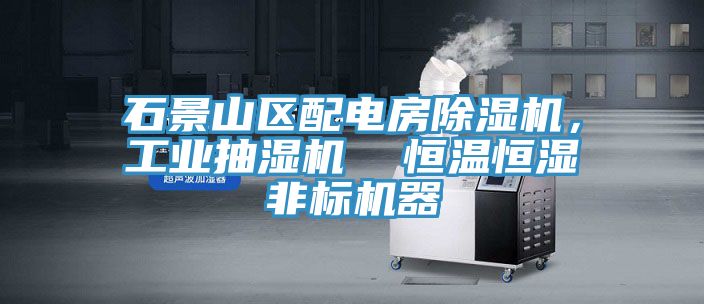 石景山區配電房黄瓜视频在线播放，工業抽濕機  恒溫恒濕非標機器