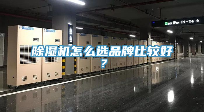 黄瓜视频在线播放怎麽選品牌比較好？