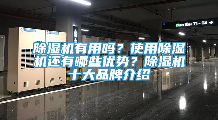 黄瓜视频在线播放有用嗎？使用黄瓜视频在线播放還有哪些優勢？黄瓜视频在线播放十大品牌介紹