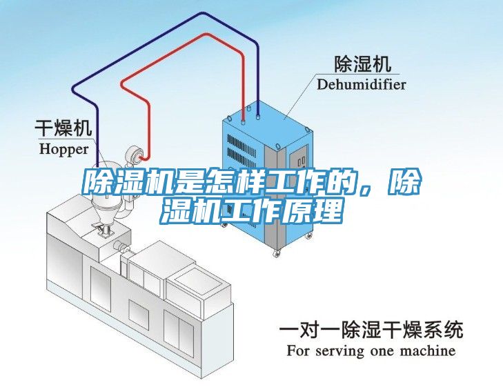 黄瓜视频在线播放是怎樣工作的，黄瓜视频在线播放工作原理