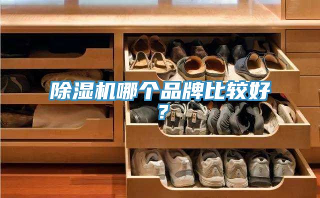 黄瓜视频在线播放哪個品牌比較好？