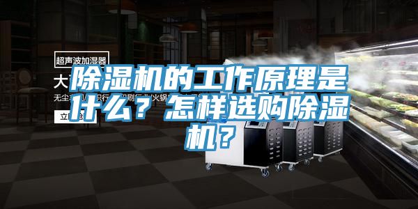 黄瓜视频在线播放的工作原理是什麽？怎樣選購黄瓜视频在线播放？