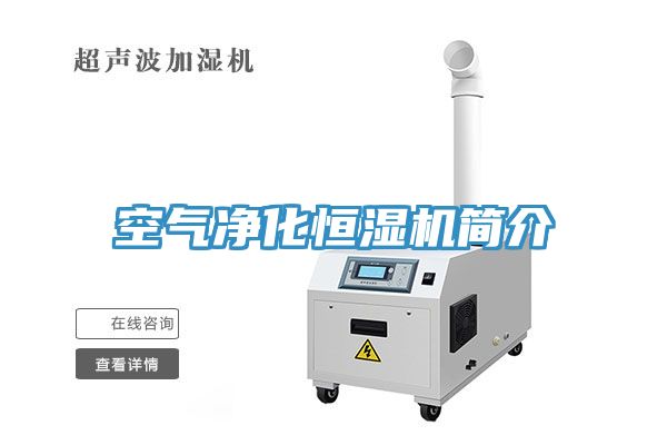 空氣淨化恒濕機簡介